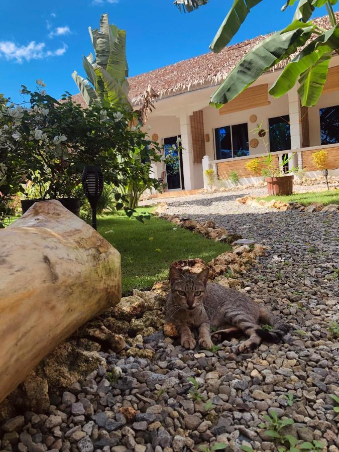 Nautilus Hostel & Hammocks Panglao Dış mekan fotoğraf